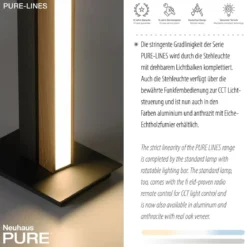 Paul Neuhaus 451-79 PURE-LINES LED Stehleuchte oak graphite CCT