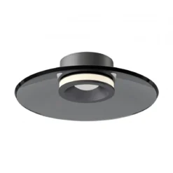 Paul Neuhaus 6094-15 PURE Moon Deckenleuchte platin grau 32cm dimmbar