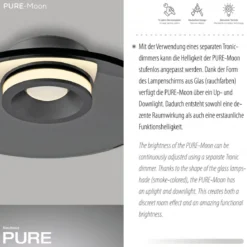 Paul Neuhaus 6094-15 PURE Moon Deckenleuchte platin grau 32cm dimmbar