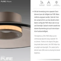 Paul Neuhaus 6094-97 PURE Moon Deckenleuchte bronce 32cm dimmbar