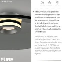 Paul Neuhaus 6095-15 PURE Moon Deckenleuchte platin grau 50cm dimmbar