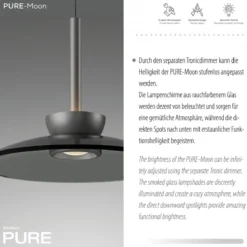Paul Neuhaus 2193-15 PURE Moon LED Pendelleuchte platin grau 3-flammig