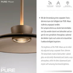 Paul Neuhaus 2193-97 PURE Moon LED Pendelleuchte bronce 3-flammig