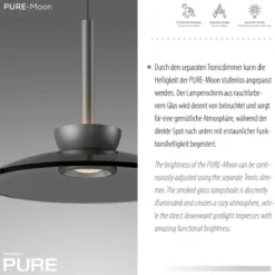 Paul Neuhaus 2191-15 PURE Moon Pendelleuchte platin grau