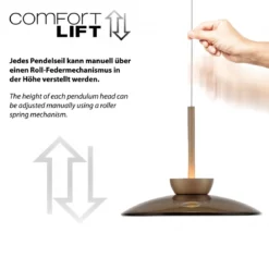 Paul Neuhaus 2194-97 PURE Moon Pendelleuchte bronce 2-flammig