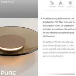 Paul Neuhaus 4594-97 PURE Moon Tischleuchte bronce dimmbar