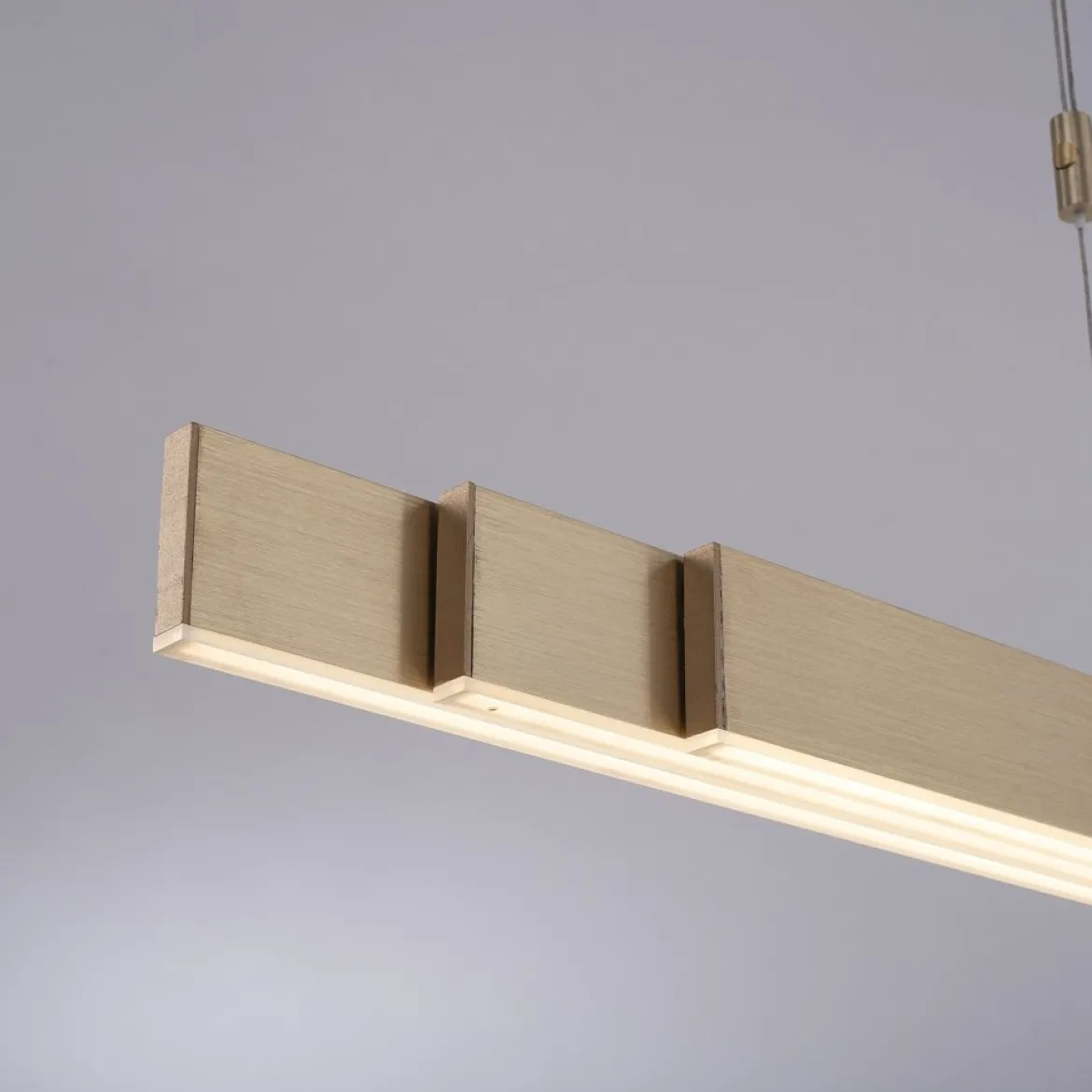 Paul Neuhaus 2525-60 PURE-MOTO e-SLIDE® LED Pendelleuchte imperial gold CCT