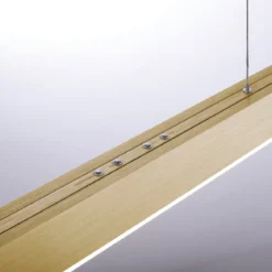 Paul Neuhaus 2525-60 PURE-MOTO e-SLIDE® LED Pendelleuchte imperial gold CCT
