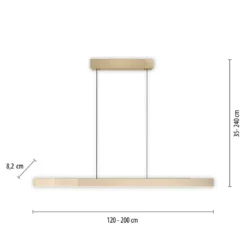Paul Neuhaus 2545-60 PURE MOTO-RISE LED Pendelleuchte imperial gold höhenverstellbar ausziehbar