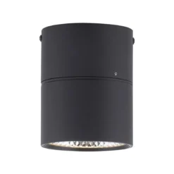 Paul Neuhaus 6451-18 PURE-NOLA LED Deckenstrahler 1-flammig schwarz