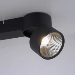 Paul Neuhaus 6452-18 PURE-NOLA LED Deckenleuchte 2-flammig schwarz