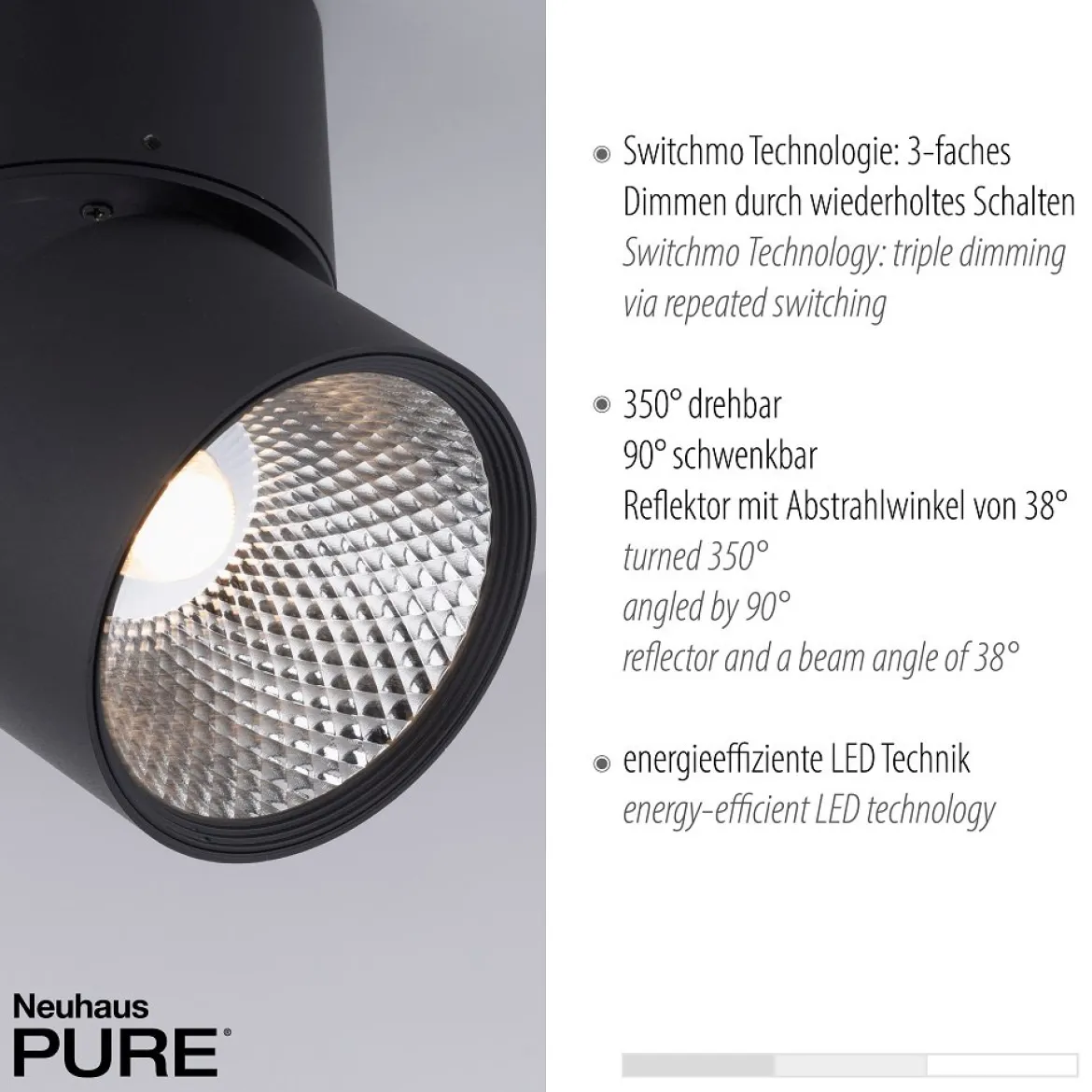 Paul Neuhaus 6452-18 PURE-NOLA LED Deckenleuchte 2-flammig schwarz