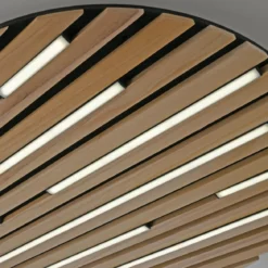 Paul Neuhaus 6421-79 Q-AKUSTIK LED Wand- und Deckenleuchte Holz-natur
