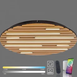 Paul Neuhaus 6421-79 Q-AKUSTIK LED Wand- und Deckenleuchte Holz-natur