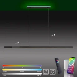 Paul Neuhaus 2569-13 Q-ARIAN Pendelleuchte anthrazit