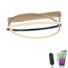 Paul Neuhaus 6739-60 Q-BELUGA LED Deckenleuchte messing schwarz Smart Home