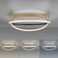 Paul Neuhaus 6739-60 Q-BELUGA LED Deckenleuchte messing schwarz Smart Home