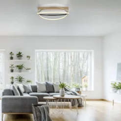 Paul Neuhaus 6739-60 Q-BELUGA LED Deckenleuchte messing schwarz Smart Home