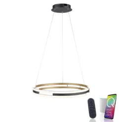 Paul Neuhaus 2051-60 Q-BELUGA LED Pendelleuchte messing matt schwarz Smart Home