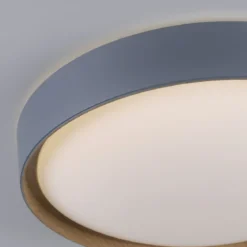 Paul Neuhaus 6118-15 Q-EMILIA Deckenleuchte grau matt holzoptik