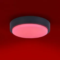 Paul Neuhaus 9650-13 Q-LENNY LED Deckenleuchte anthrazit