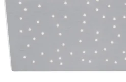 Paul Neuhaus 8038-95 Q-NIGHTSKY Deckenleuchte aluminium rechteckig