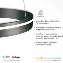 Paul Neuhaus 8412-13 Q-VITO 79 Pendelleuchte anthrazit