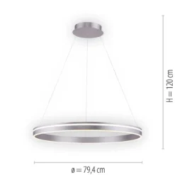 Paul Neuhaus 8412-55 Q-VITO 79 Pendelleuchte stahl