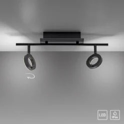 Paul Neuhaus 6781-13 SILEDA LED Deckenleuchte 2-flammig Anthrazit