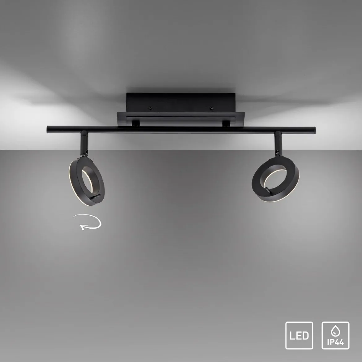 Paul Neuhaus 6781-13 SILEDA LED Deckenleuchte 2-flammig Anthrazit