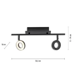 Paul Neuhaus 6781-13 SILEDA LED Deckenleuchte 2-flammig Anthrazit