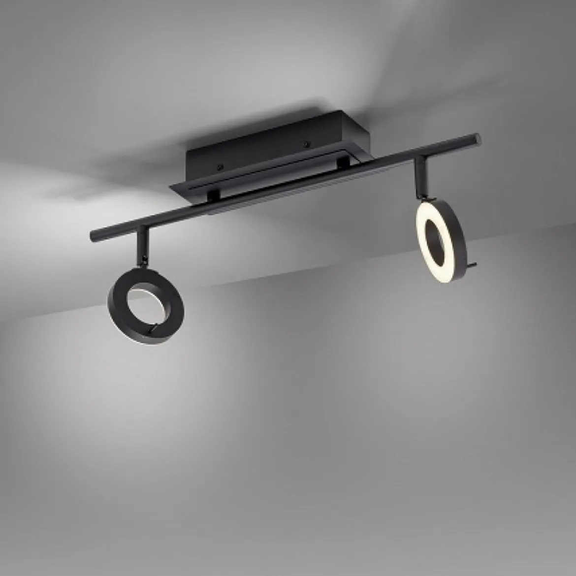 Paul Neuhaus 6781-13 SILEDA LED Deckenleuchte 2-flammig Anthrazit