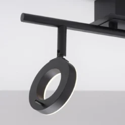 Paul Neuhaus 6781-13 SILEDA LED Deckenleuchte 2-flammig Anthrazit