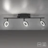 Paul Neuhaus 6785-13 SILEDA  LED Deckenleuchte 3-flammig Anthrazit