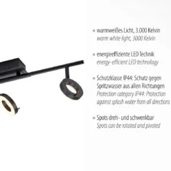 Paul Neuhaus 6785-13 SILEDA LED Deckenleuchte 3-flammig Anthrazit