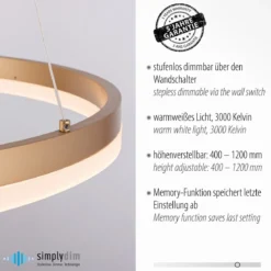 Paul Neuhaus 2382-60 Titus LED Pendelleuchte 60 messingfarben