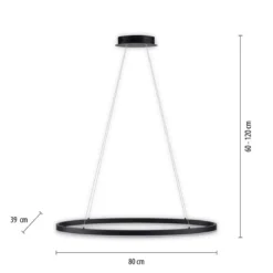 Paul Neuhaus 2392-13 Titus oval LED Pendelleuchte 80cm anthrazit Simply Dim