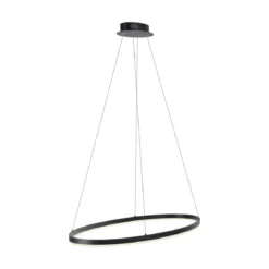 Paul Neuhaus 2392-13 Titus oval LED Pendelleuchte 80cm anthrazit Simply Dim
