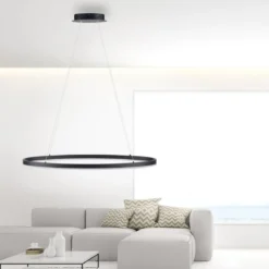 Paul Neuhaus 2392-13 Titus oval LED Pendelleuchte 80cm anthrazit Simply Dim