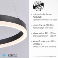 Paul Neuhaus 2381-13 TITUS Pendelleuchte 40 anthrazit
