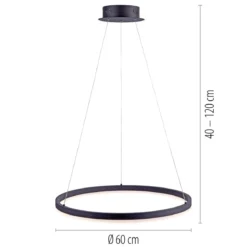 Paul Neuhaus 2382-13 TITUS Pendelleuchte 60 anthrazit