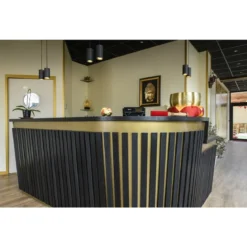 SLV 1006433 ASTO TUBE Pendelleuchte 2-flammig GU10 schwarz