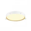 SLV 1008924 DECONA 42 Deckenaufbauleuchte 3000-4000K PHASE schwarz gold IP44
