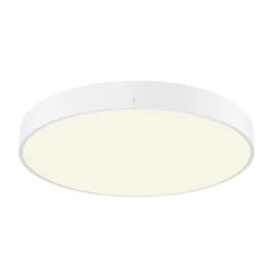 SLV 1007323 MEDO® 60 Wand- und Deckenaufbauleuchte rund CCT dimmbar weiß