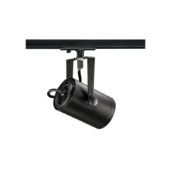 SLV No. 1001861 EURO SPOT TRACK SPOT schwarz QPAR51 25W inklusive 1-Phasen-Adapter