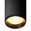 SLV 1004564 NUMINOS DALI L 3 Phasen System Leuchte schwarz 3000K 60°