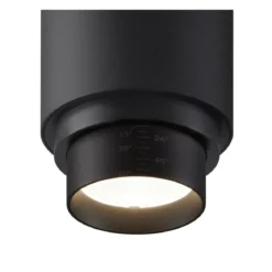 SLV 1006118 NUMINOS® ZOOM M DALI 3 Phasen Spot schwarz 20W 4000K 15-60°