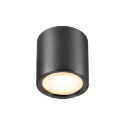 SLV 1008618 OCULUS Deckenaufbauleuchte rund 2000-3000K 11W Dim-to-Warm dunkel bronze
