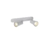 SLV 1008315 PURI 2.0 Cone Wand- und Deckenleuchte 2-flammig grau GU10